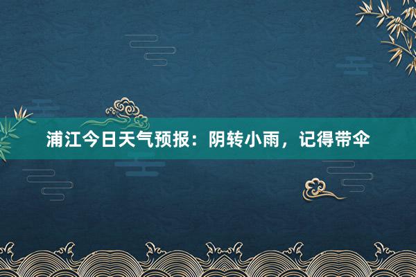 浦江今日天气预报：阴转小雨，记得带伞