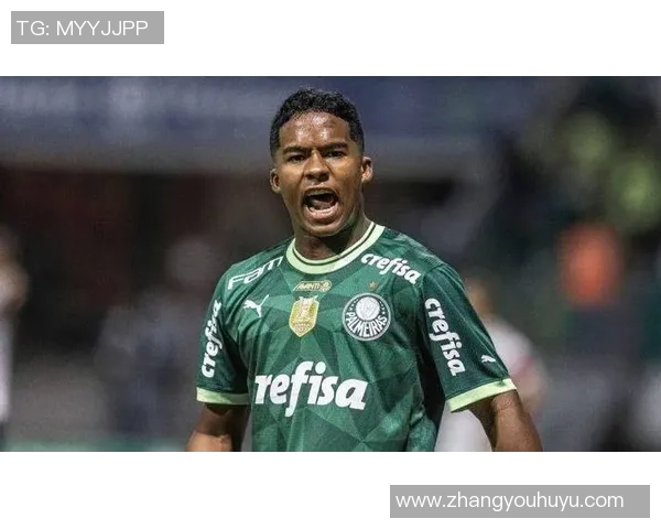 巴西足球明星退役后新生活揭秘与未来发展规划