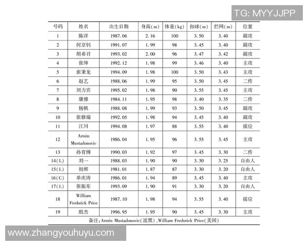 北京排球队区域防守策略创新探索与实践分析